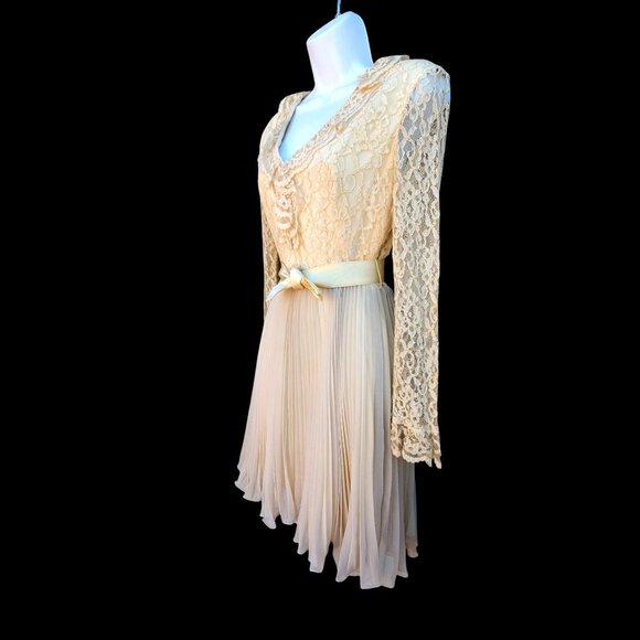 50s Chantilly Lace Beige Chiffon Vintage Dress XS Long Sleeve Pleated Wedding - Picture 5 of 11